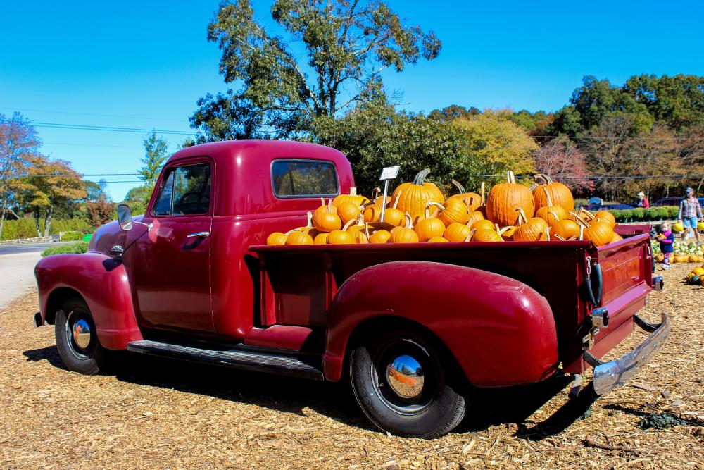 Farmer's Daughter Pumpkin Truck