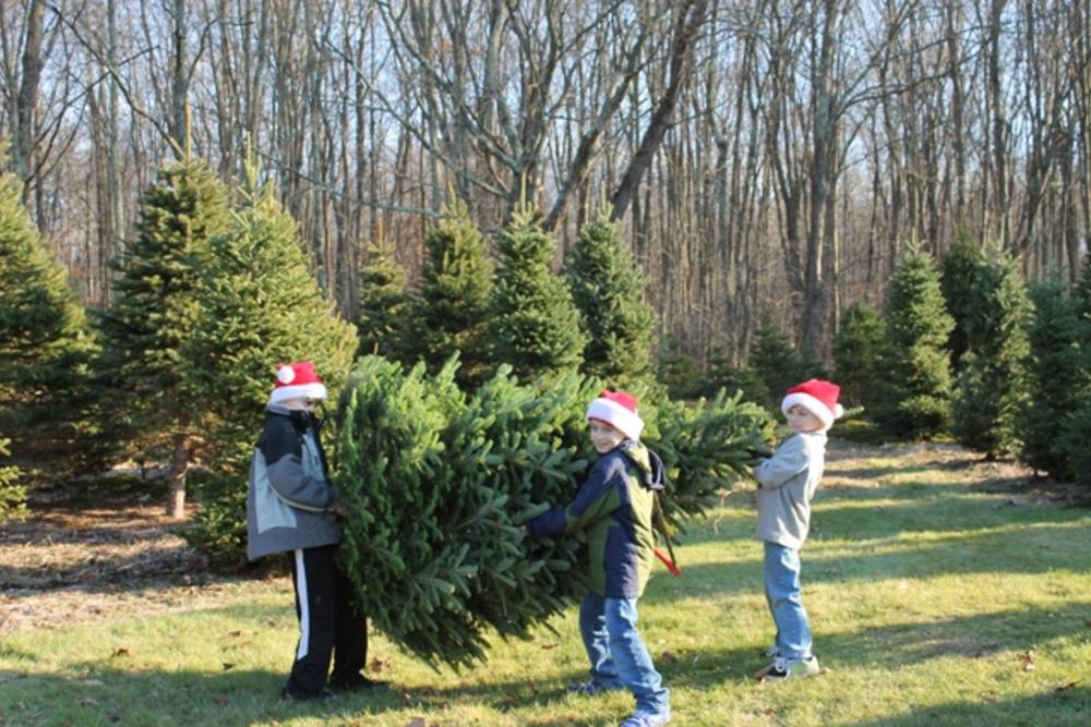 Evergreen Acres