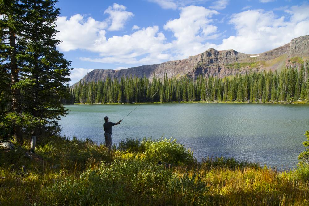 Fishing in the Flat Tops Wilderness