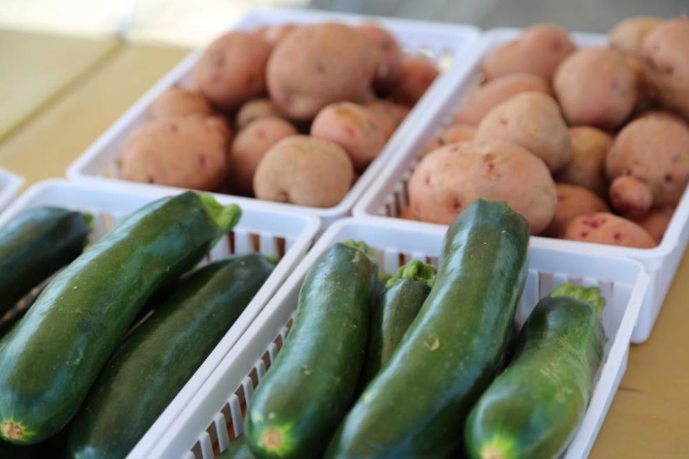 Vegetables at the Farmers Market