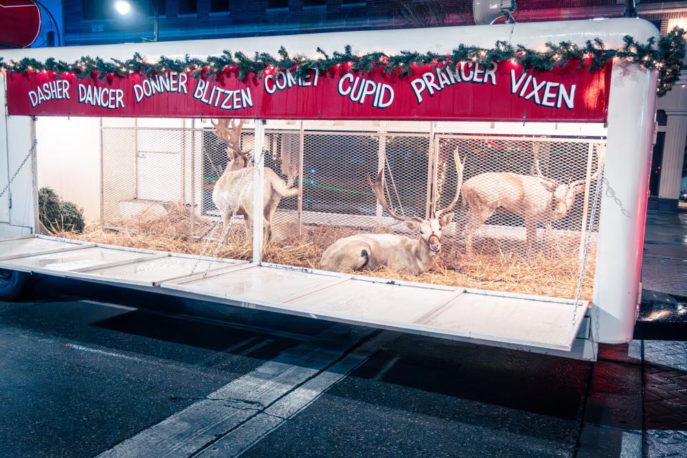 Miracle on Kansas Ave Reindeer Float