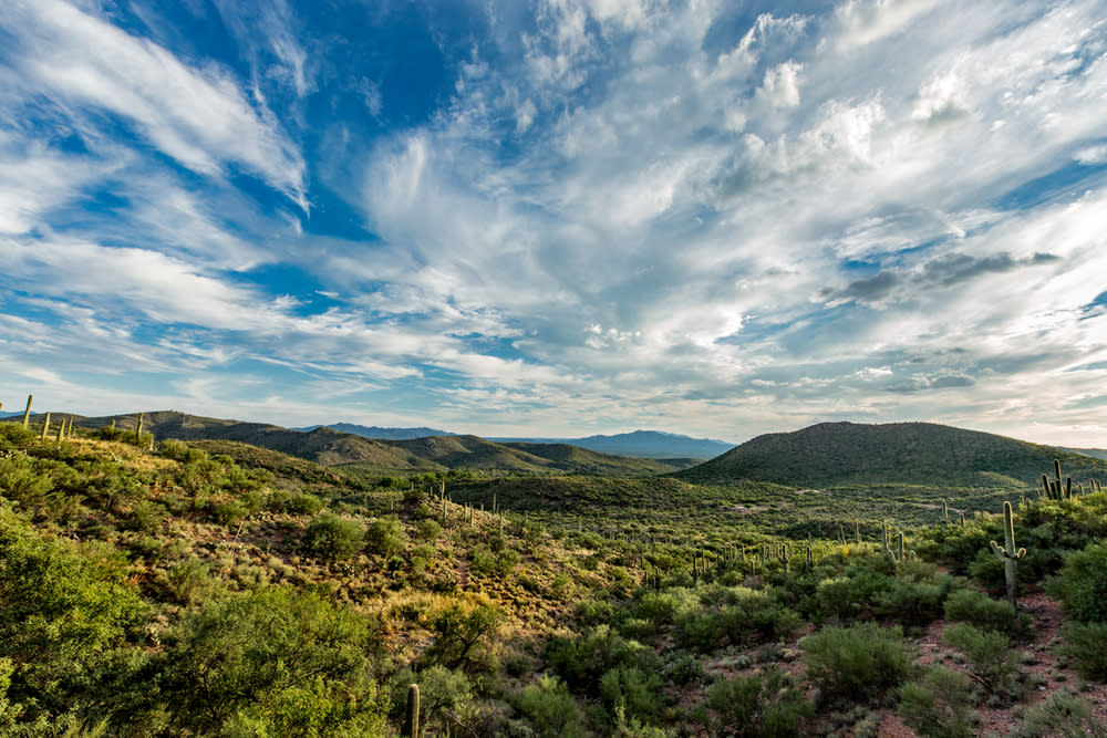 landscape image of a green desert with mountains, cacti, and bushes with a blue sky full of clouds at Colossal Cave Mountain Park