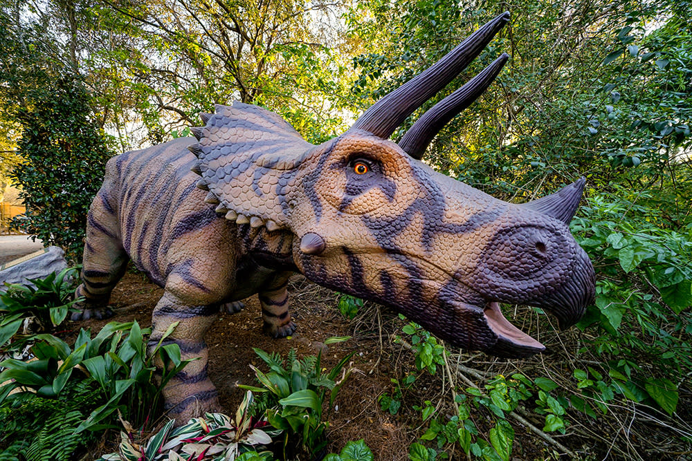 An animatronic dinosaur is placed in the trees as part of a traveling exhibit headed to Botanica Wichita