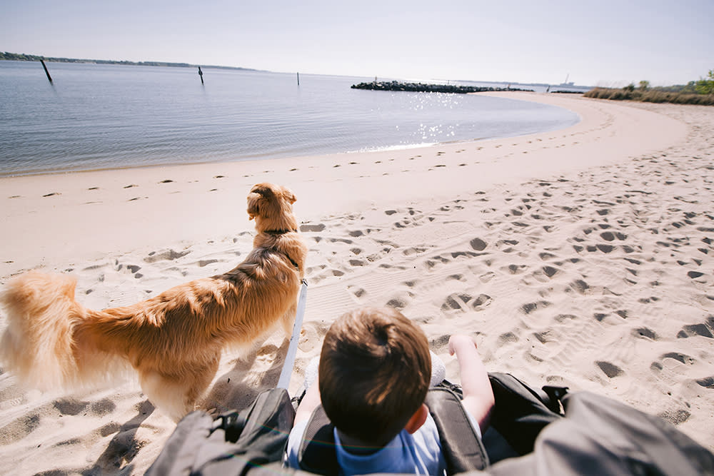 dog and child on Jamestown beach - influencer