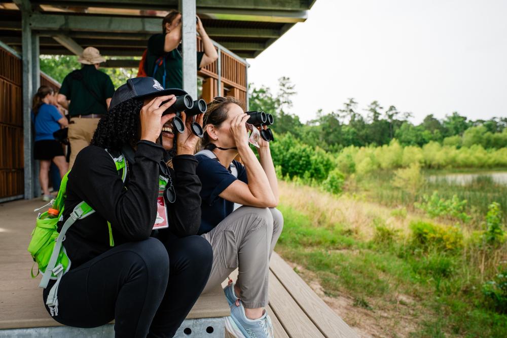 A group of wildlife enthusiasts use binoculars from The Lookout Bird Blind at The George Mitchell Nature Preserve.