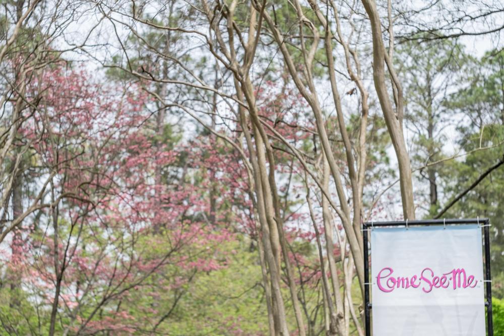 come see me festival