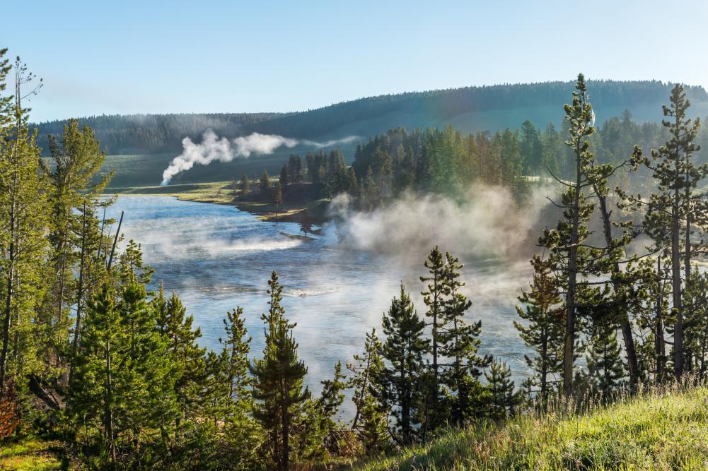 Yellowstone Scenary