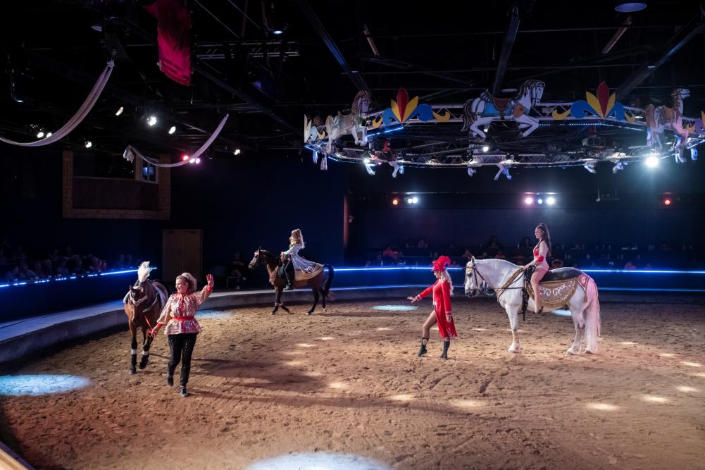 Performance at the Dancing Horses Arena