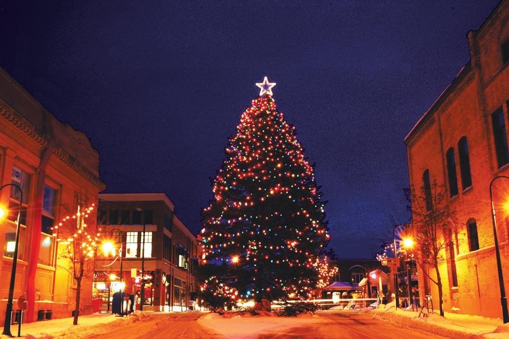 christmastreedowntown