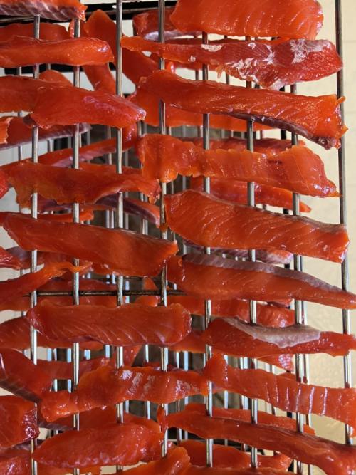 Salmon