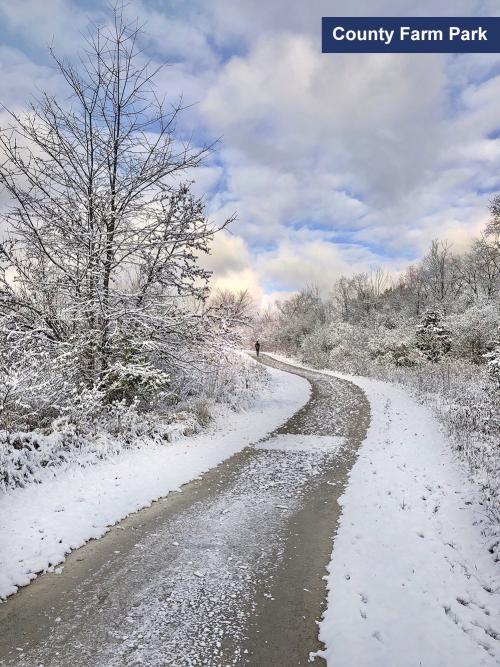 County Farm Park in the winter, Ann Arbor, MI