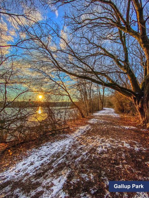 Gallup Park in the Winter, Ann Arbor, MI