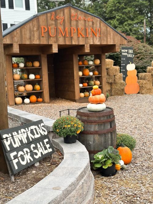 Pumpkin Patch Bedford County