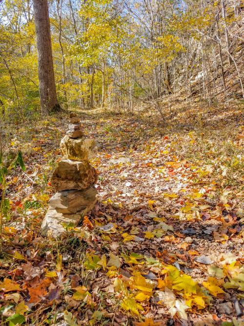 Fall foliage and stacked rocks along Charlestown State Park Trail