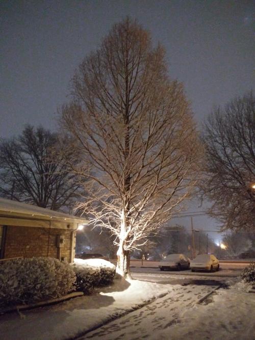 Lindsey Autumn Beaven Winter Front Yard