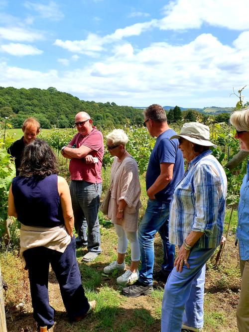 vineyard tour
