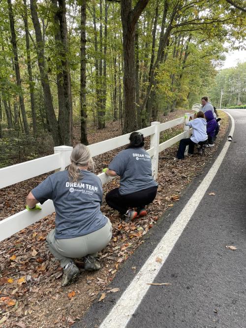 Bakers Mountain Park Cleanup Fence