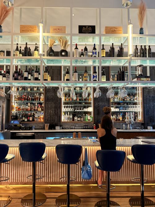 A guest sits at the marble bar inside Providence Bar in Huntsville, Alabama, surrounded by glowing shelves lined with wine bottles, liquor, and hanging glassware. Blue velvet barstools, warm lighting, and modern finishes create an upscale and inviting atmosphere.