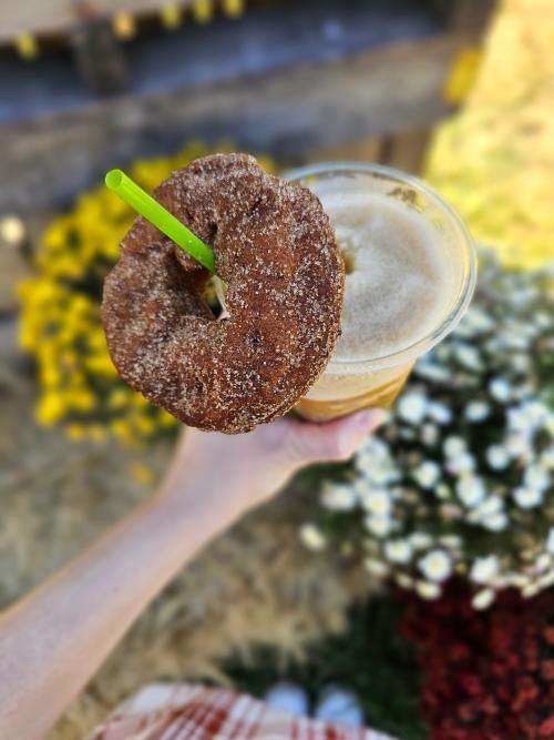 Hand holding a cold apple cider drink topped with a cinnamon-sugar apple cider donut at Scott’s Orchard, with colorful flowers blurred in the background.