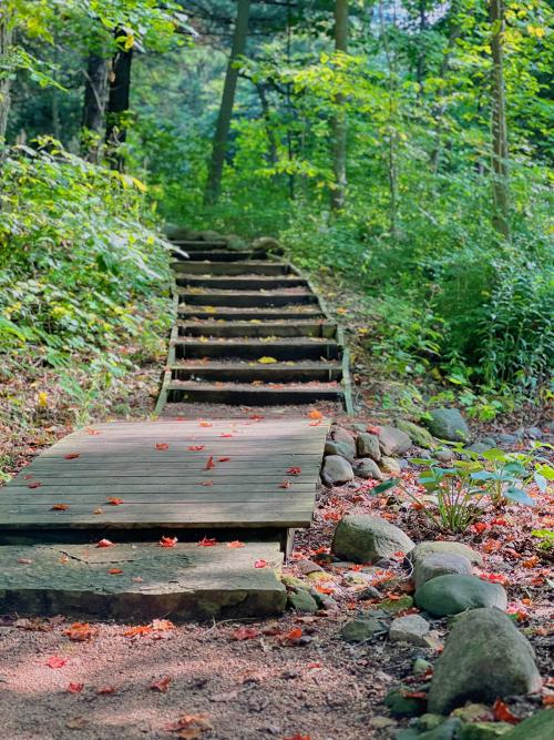 Hawthorn Hollow Nature Sanctuary and Arboretum