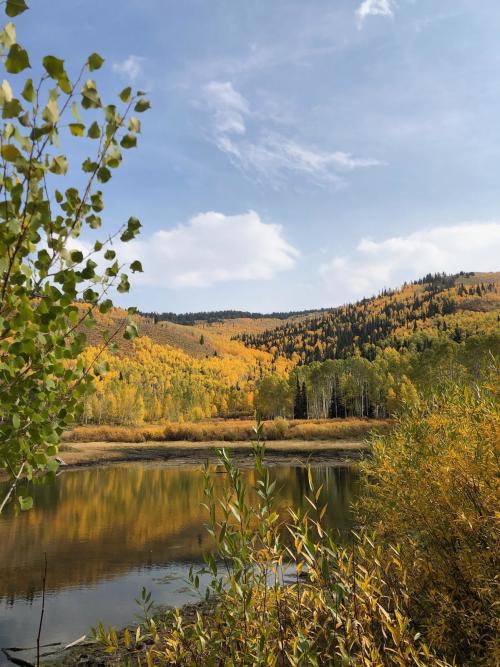 Willow Creek