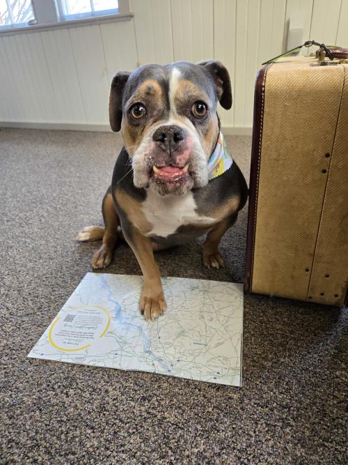 Bessie with map and suitcase