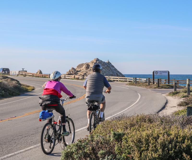 17 Things to Do on 17 Mile Drive