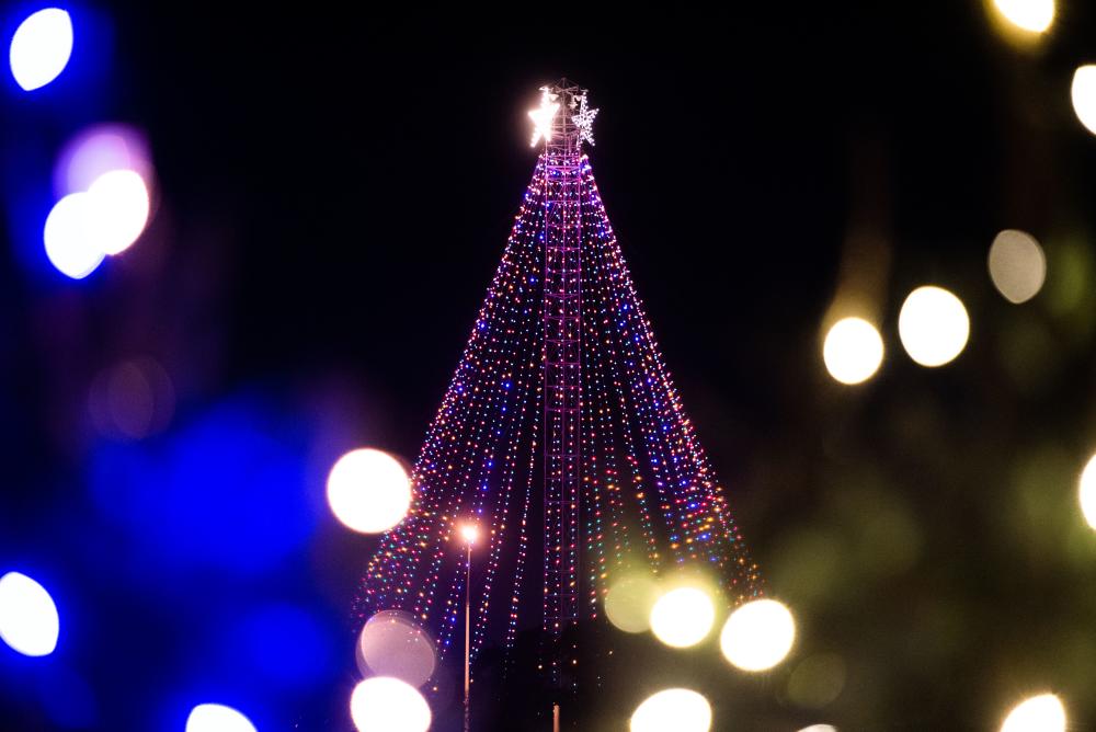 Zilker Tree at Austin Trail of Lights