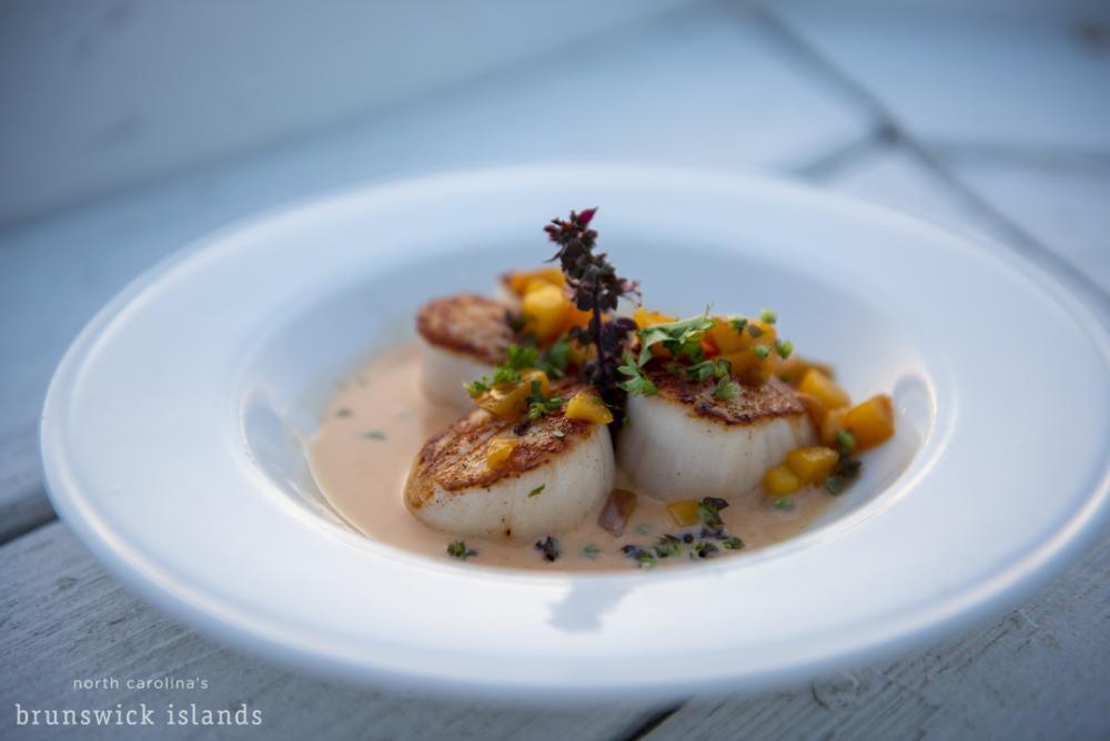 Scallops Jinks Creek OIB