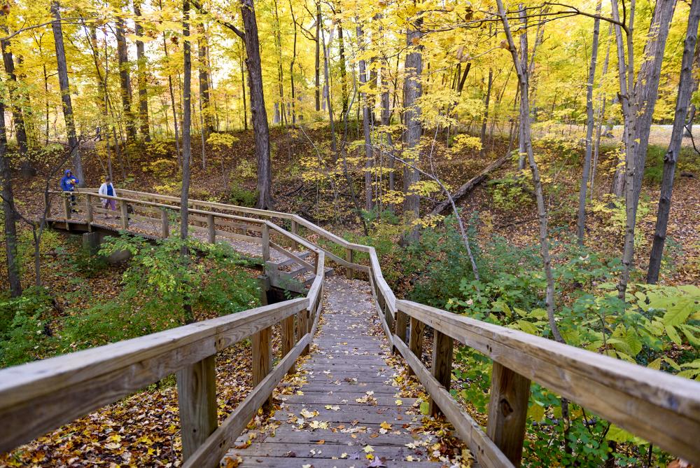 Fall in Shoaff Park