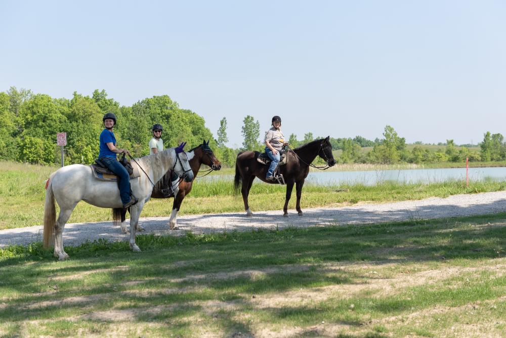 Three horses and their riders at the Three Rivers Horse Trails