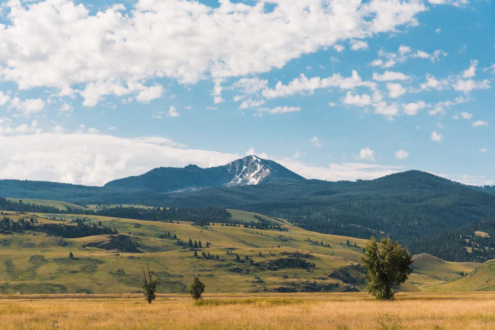 Elk Refuge