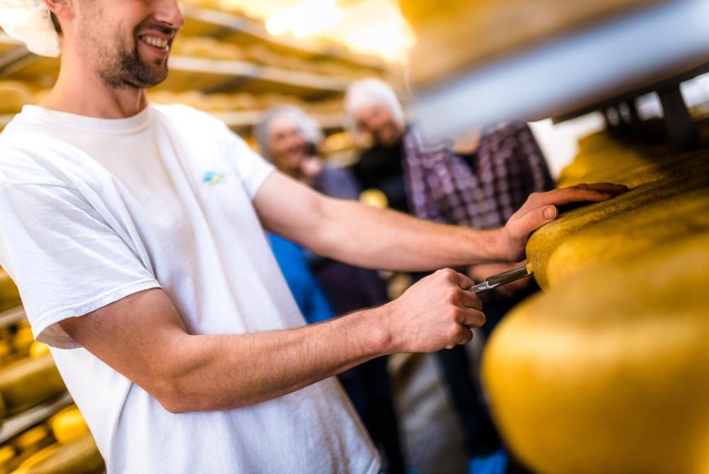 Gunn's Hill Artisan Cheese