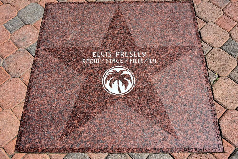 star on walk of stars