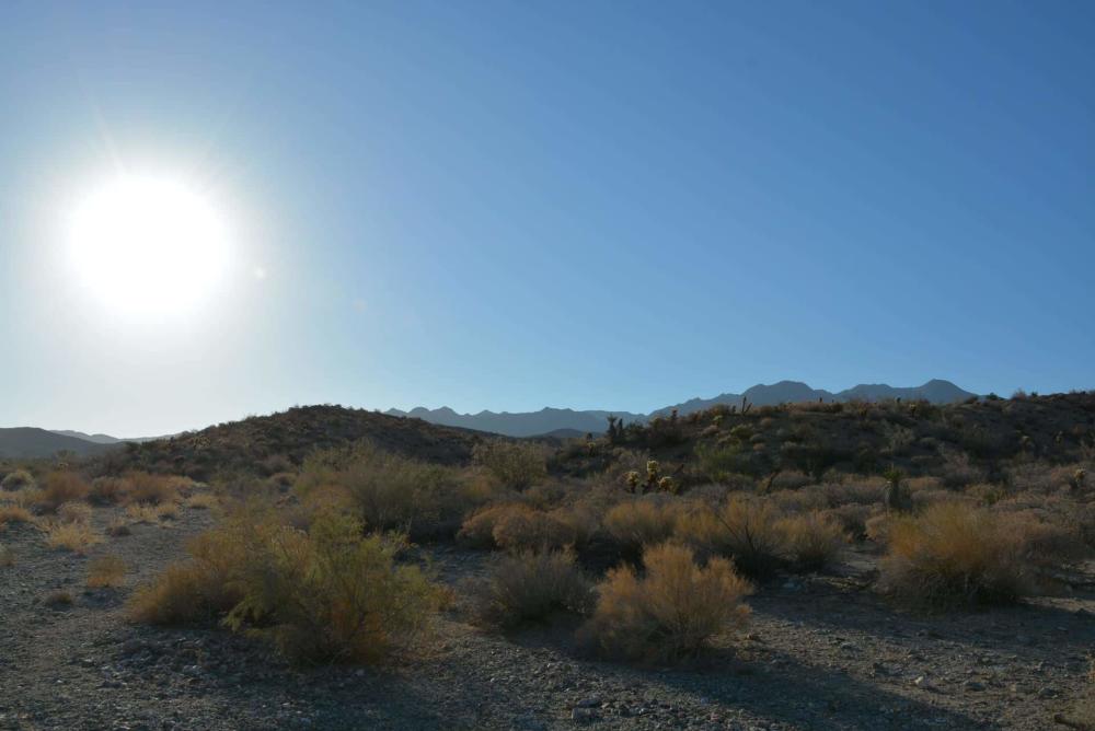 Dry Wash Trail Palm Canyon