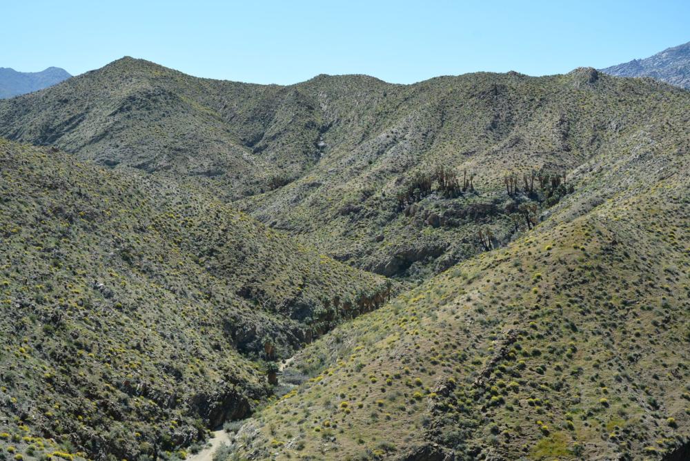 Vandeventer trail Palm Canyon