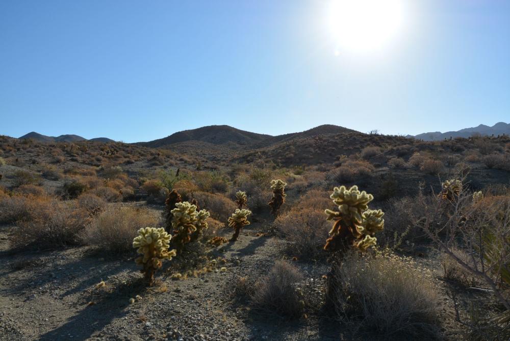 east fork loop trail