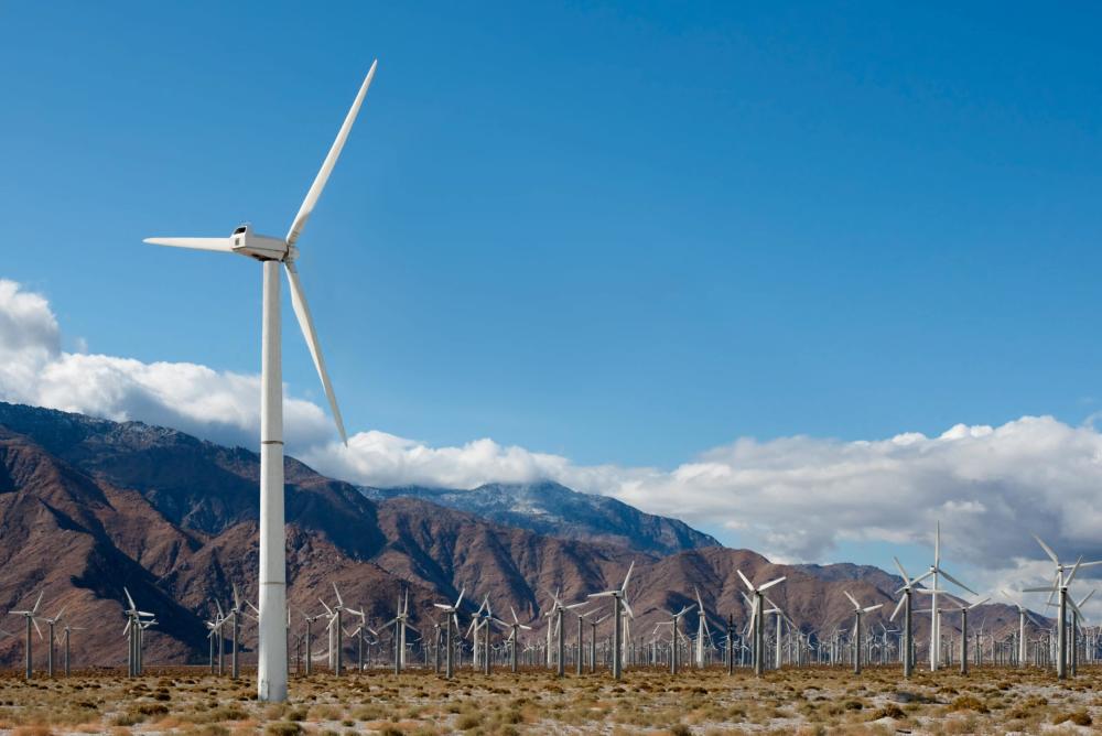 windmill tours
