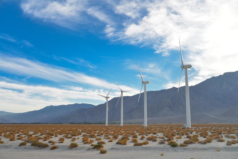 Palms Springs Windmill Farm