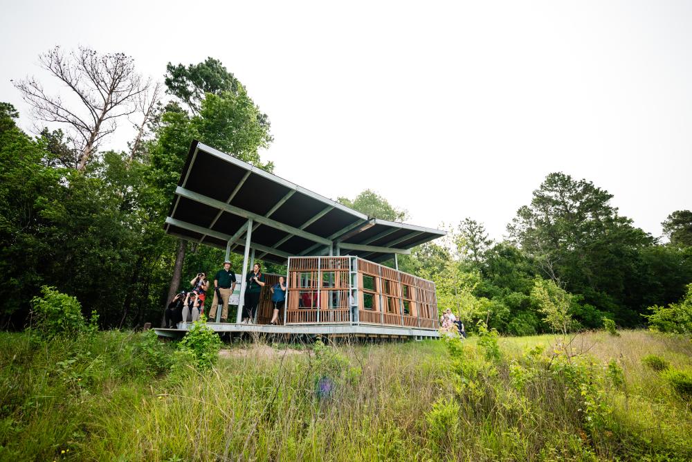 A wide-angle view of the bird blind at the GMNP. The bird blind is a raised, covered platform roughly 20-30 feet long. There is a "wall" along the length of both sides of the platform, each with moveable wooden slats for viewing wildlife without interference. There are at least 11 people in the photo, several with binoculars.
