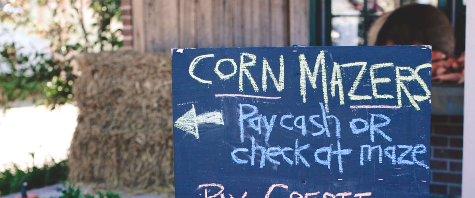 Corn Maze At Bergey S Breadbasket Chesapeake Va