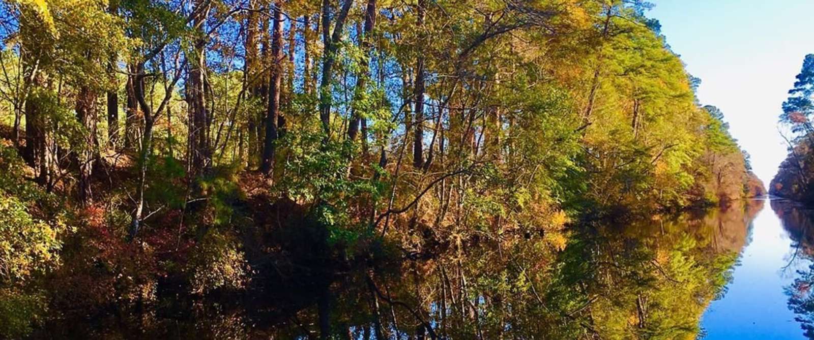 Trees reflect on the water of the Dismal Swamp Canal near Chesapeake, VA