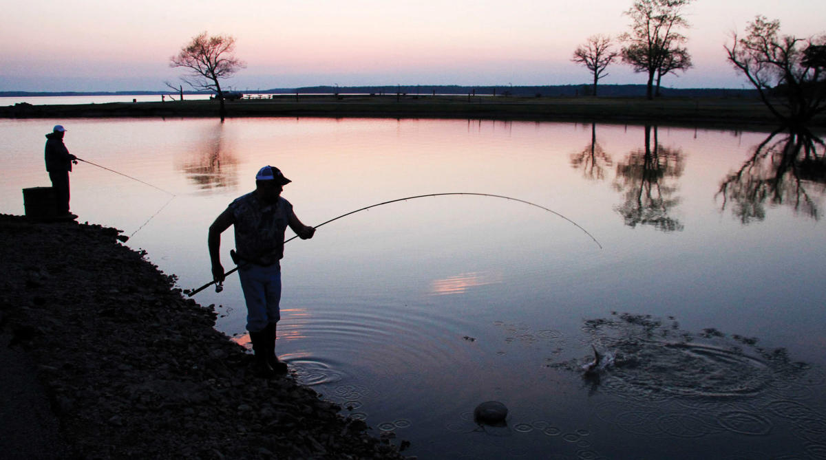 people fishing on the bank of a lake