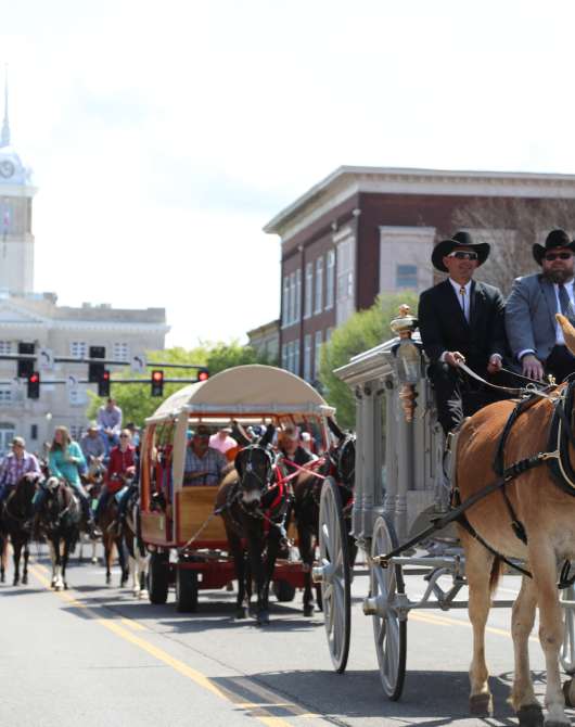 Mule Day