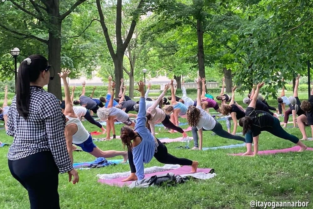 Ann Arbor Summer Festival A Celebration of Arts and Community