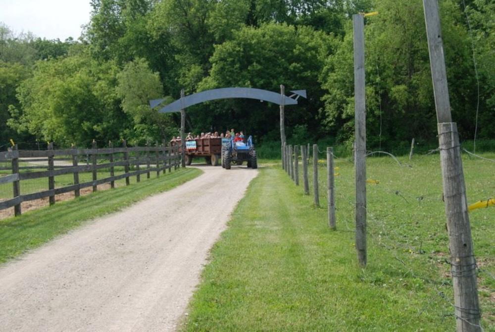 Train ride at Animal Gardens Petting Zoo