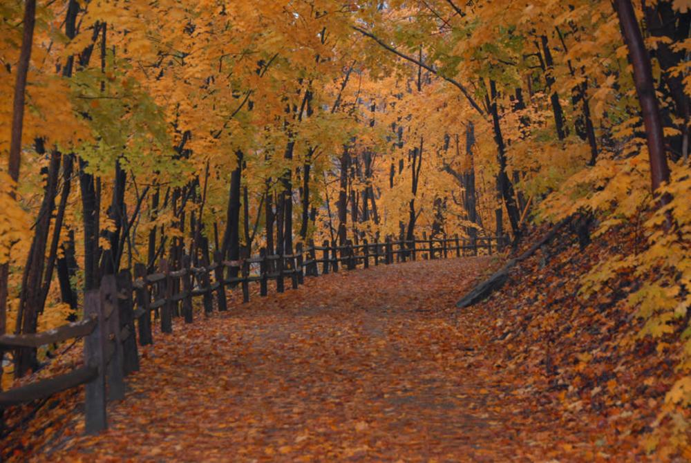 Perkiomen Trail
