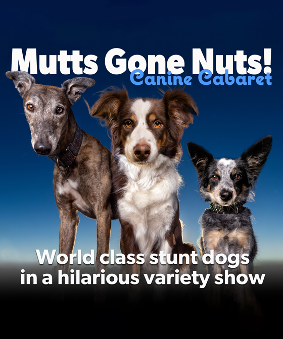 Mutts Gone Nuts