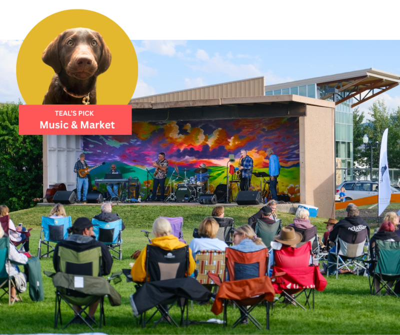 Dog Friendly Granby Music & Market - Teal's Pick