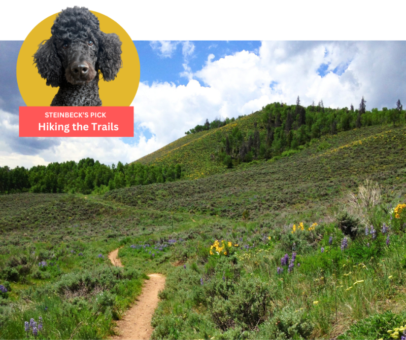 Dog Friendly Granby Trails - Steinbeck's Pick
